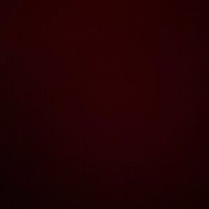 Meet your Posher, Bridget